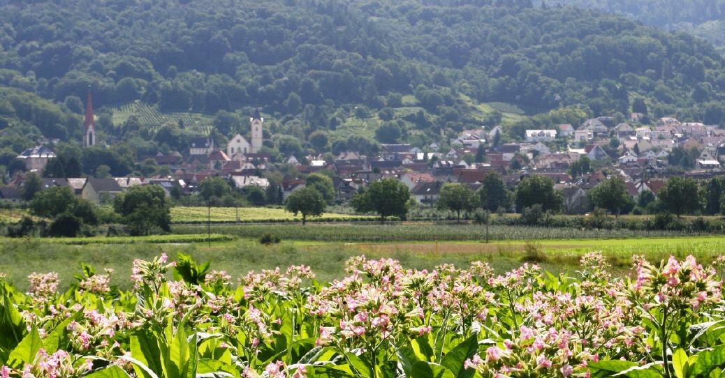 Hirschberg-Leutershausen